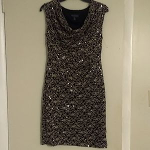 Connected apparel size 8p woman's dress NWOT